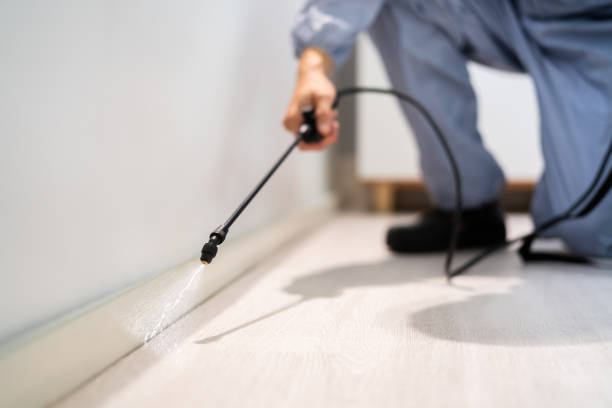 Licensed Cockroach Control service in Gainesville, TX - Nex Pest Control