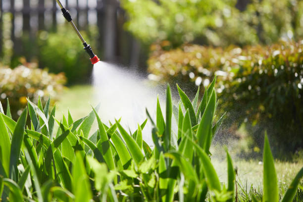 24/7 Emergency Cockroach Control experts in Gainesville, TX