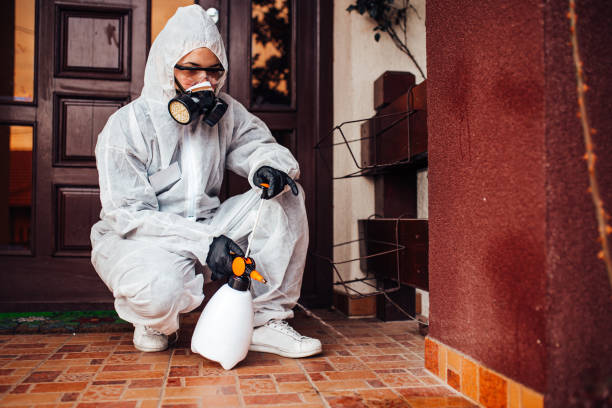 Reliable Cockroach Control contractor in Gainesville, TX by Nex Pest Control